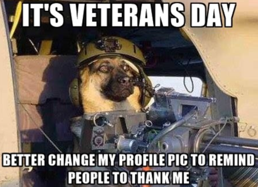 it's veterans day
