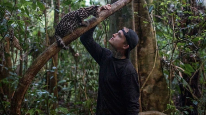 turner with a wildcat in the jungle