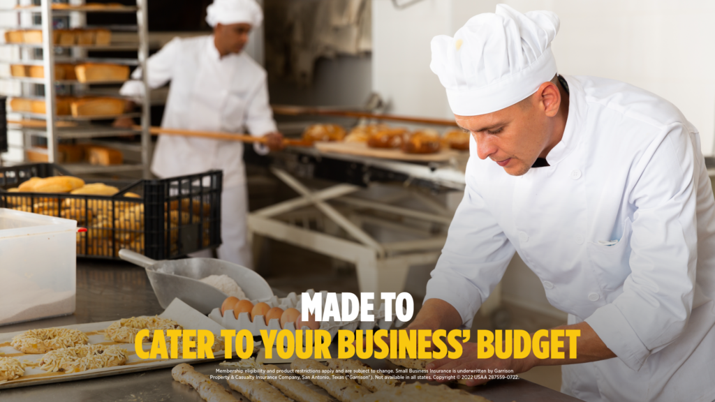 veteran-owned small business budget