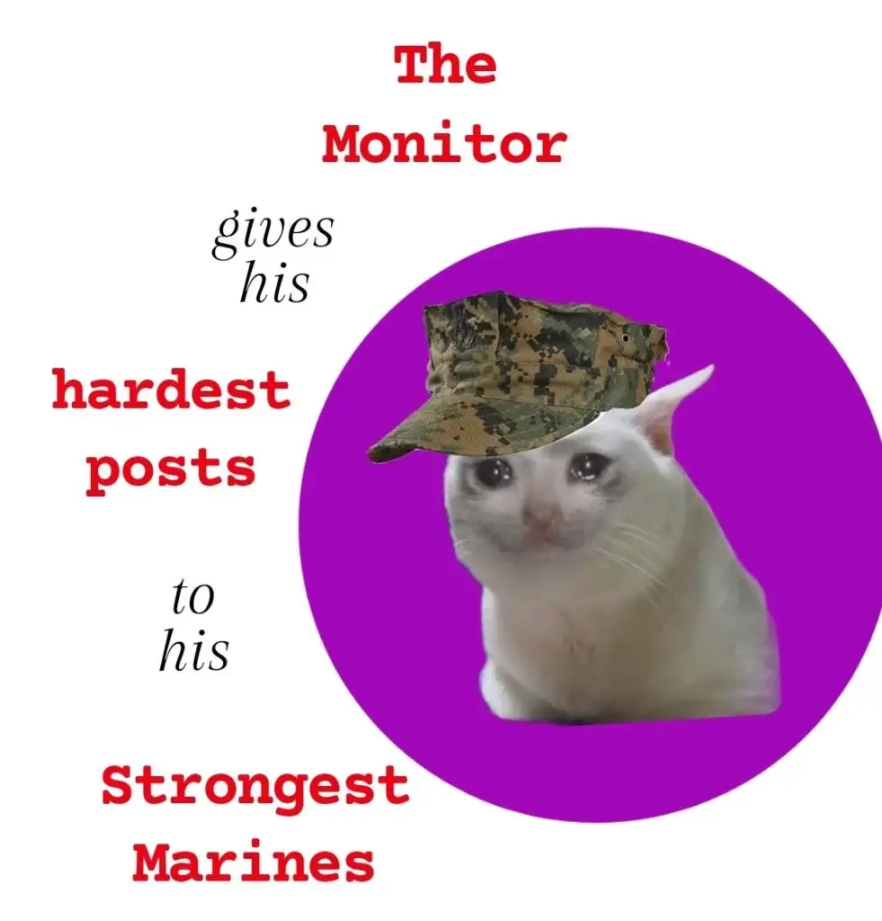 monitor meme