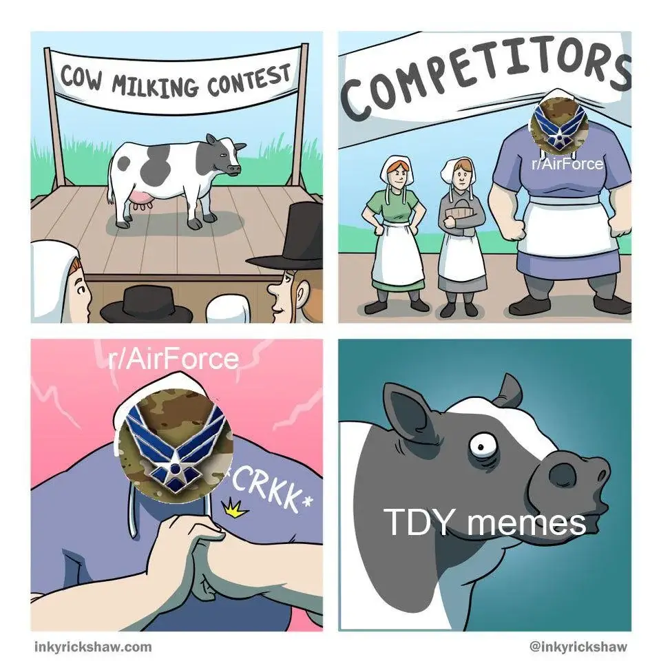 TDY memes