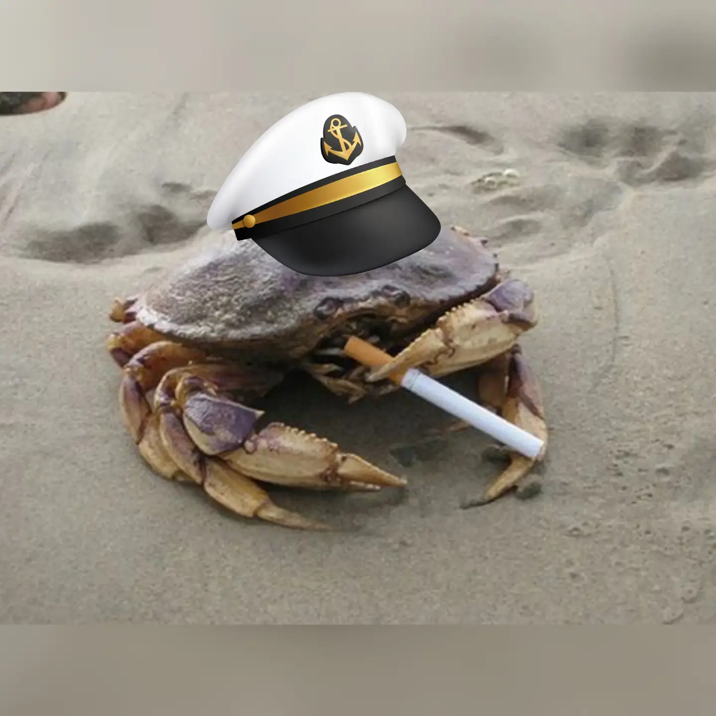 crab best military memes