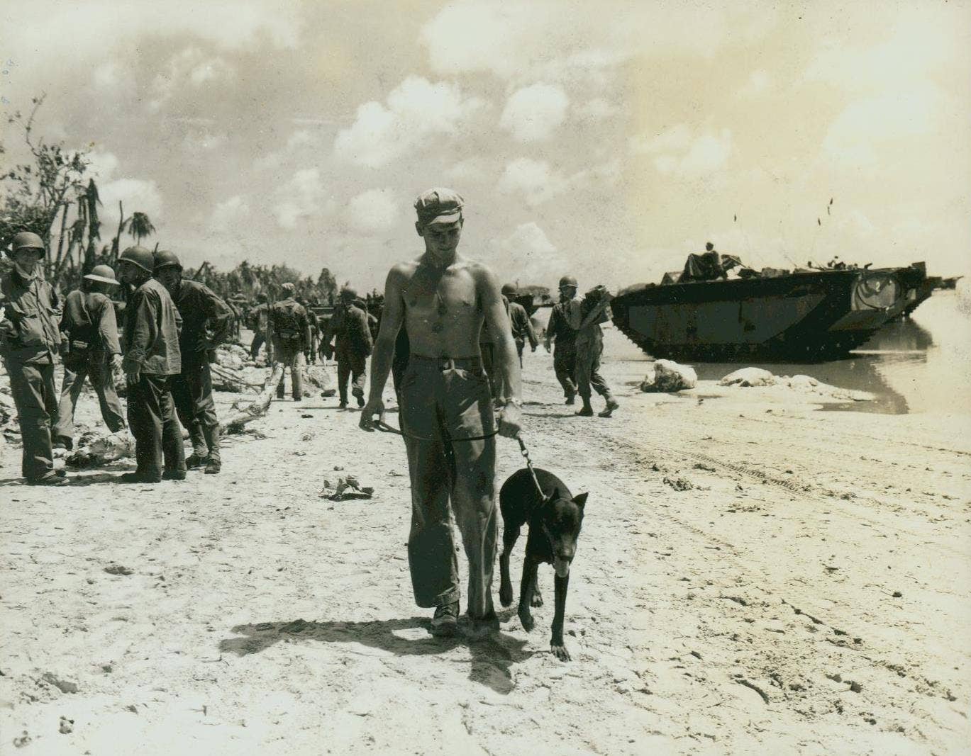 marine war dog in guam
