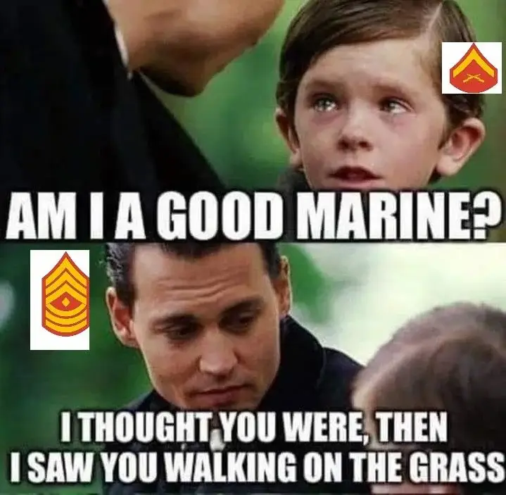 walk on the grass meme