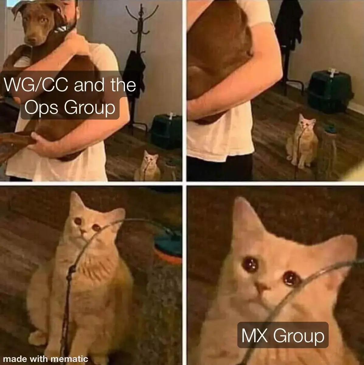 mx group