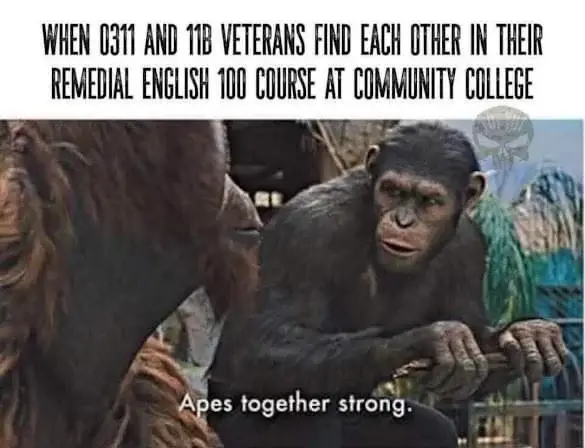Two primates representing Marine and Army infantry vets meeting each other in college.