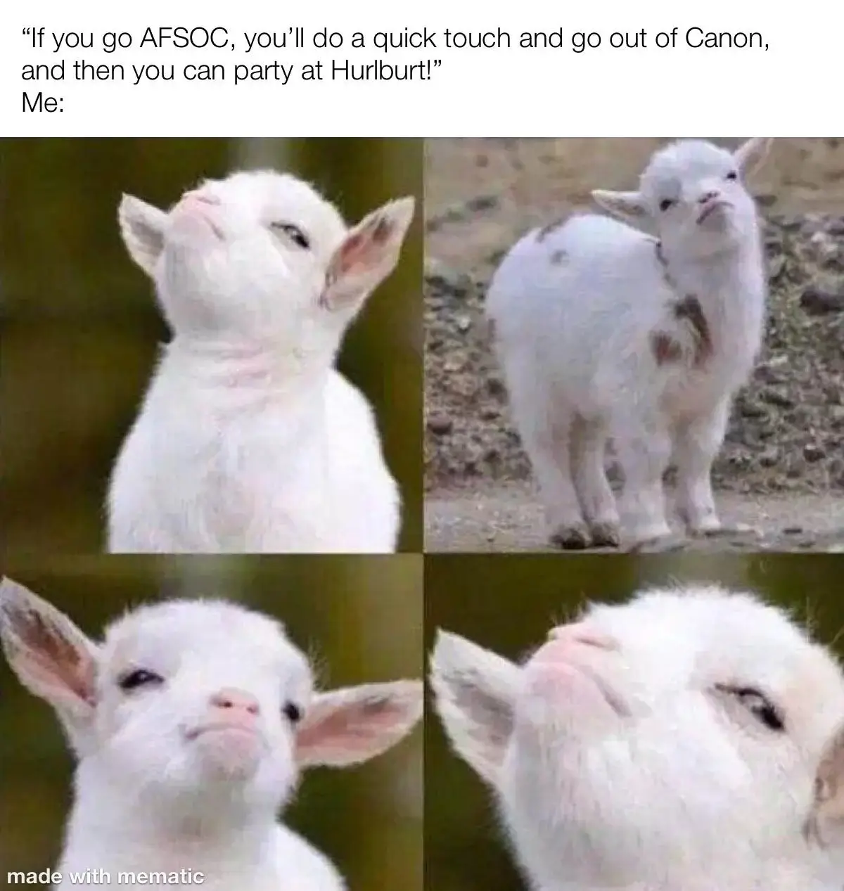 Meme of a baby goat making stubborn faces.