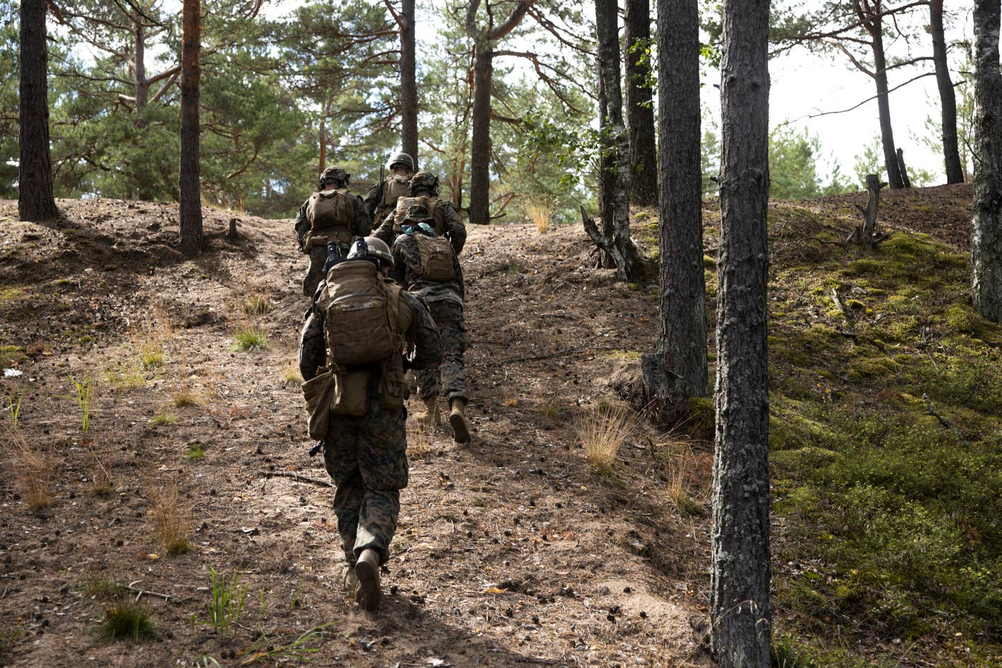 marines know what is a good reason to get moving as they hike through the woods.