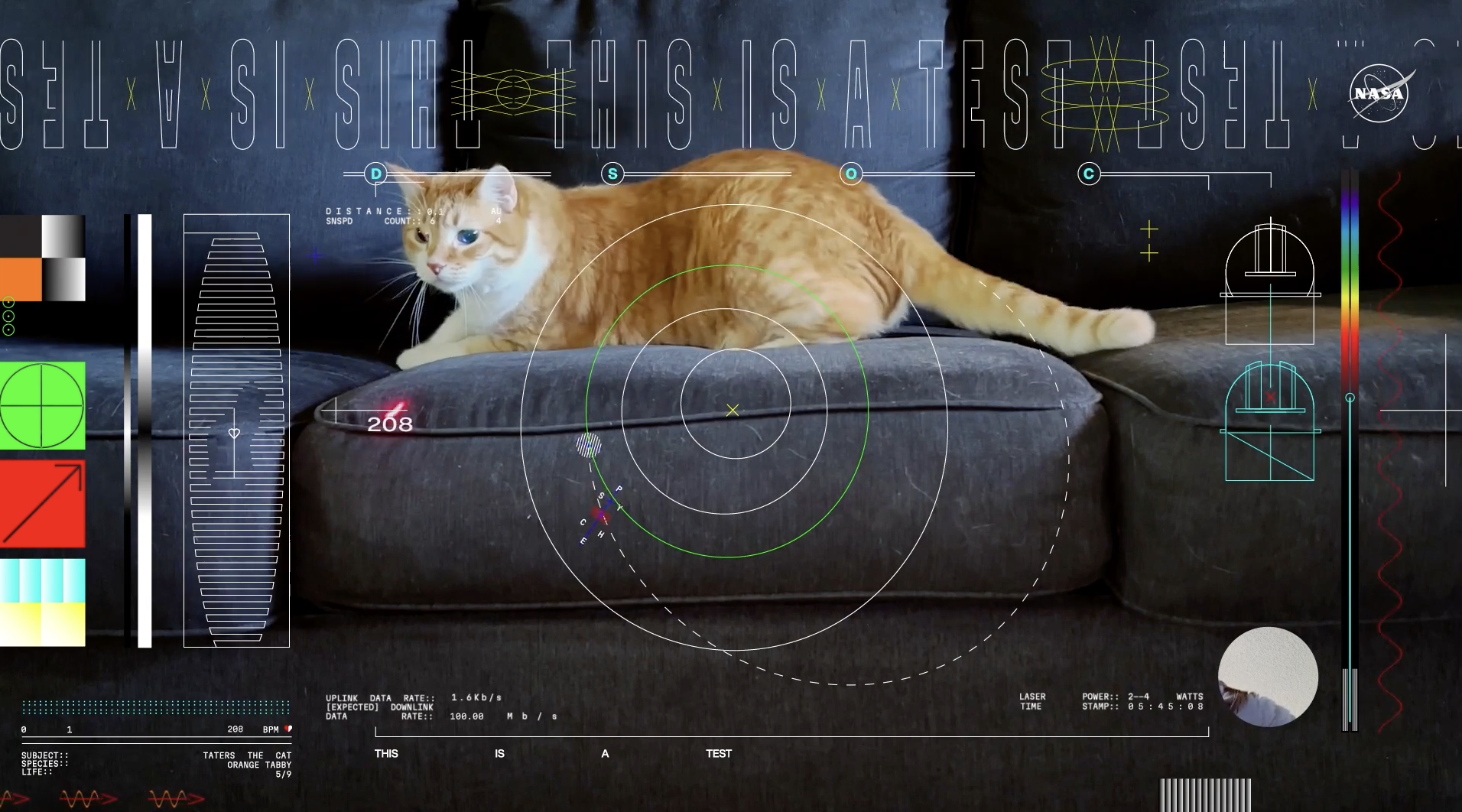 A screengrab from NASA's video beamed from outerspace featuring an orange tabby named Taters. 