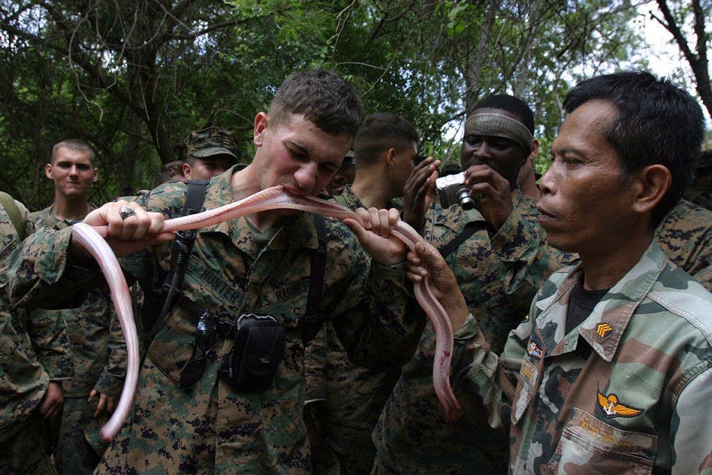 A US Marine biting into a freshly skinned king cobra as part of a survival exercise during Cobra Gold 2006. (Photo: slagheap/Flickr)