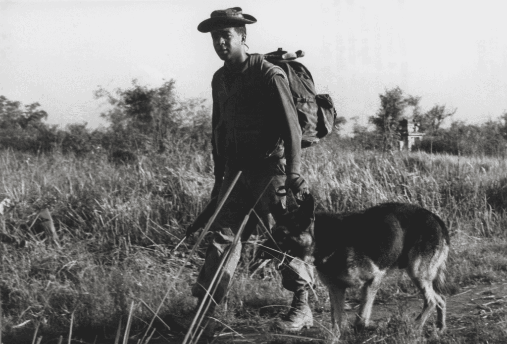 These 5 dogs of war took it to America&#8217;s enemies