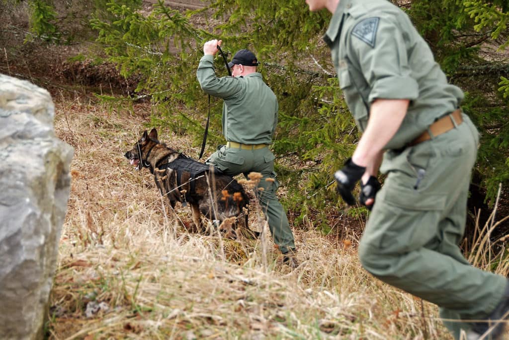 A canine unit with the West Virginia State Police assists U.S. Special Operations Forces and interagency joint partners with the West Virginia and Pennsylvania National Guard in partnering with special operations forces soldiers from Estonia, Latvia, and Lithuania in an escape and evasion training exercise event as part of Exercise Ridge Runner Feb. 23, 2017 in West Virginia.
