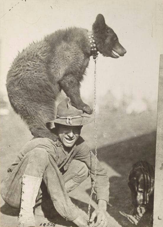 A World War I soldier lets the regimental mascot climb on him. (Photo: National Archives and Records Administration)