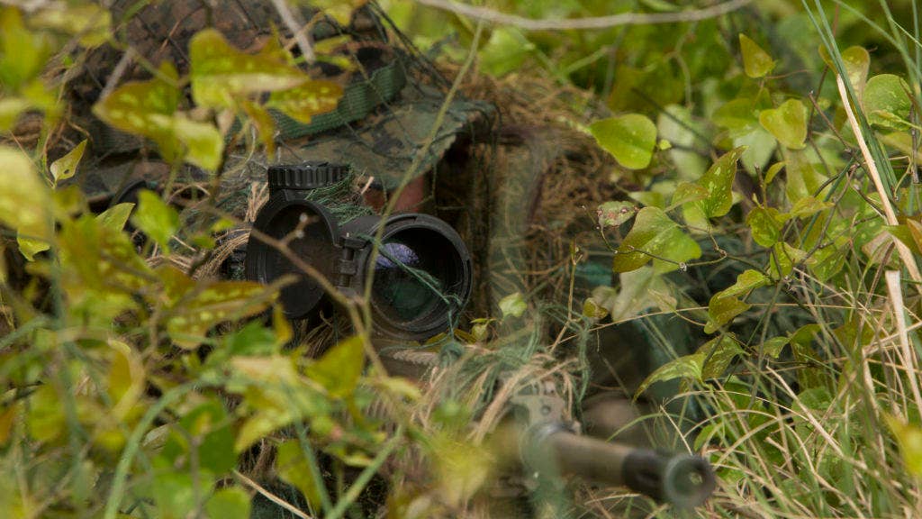 Lance Cpl. Thomas Hunt, a designated marksman with 1st Platoon, Bravo Company, 2nd Law Enforcement Battalion, looks through the scope of his M110 sniper rifle while concealed in the tree line during the II Marine Expeditionary Force Command Post Exercise 3 at Camp Lejeune, N.C., April 20, 2016. (U.S. Marine Corps photo by Cpl. Michelle Reif/Released)