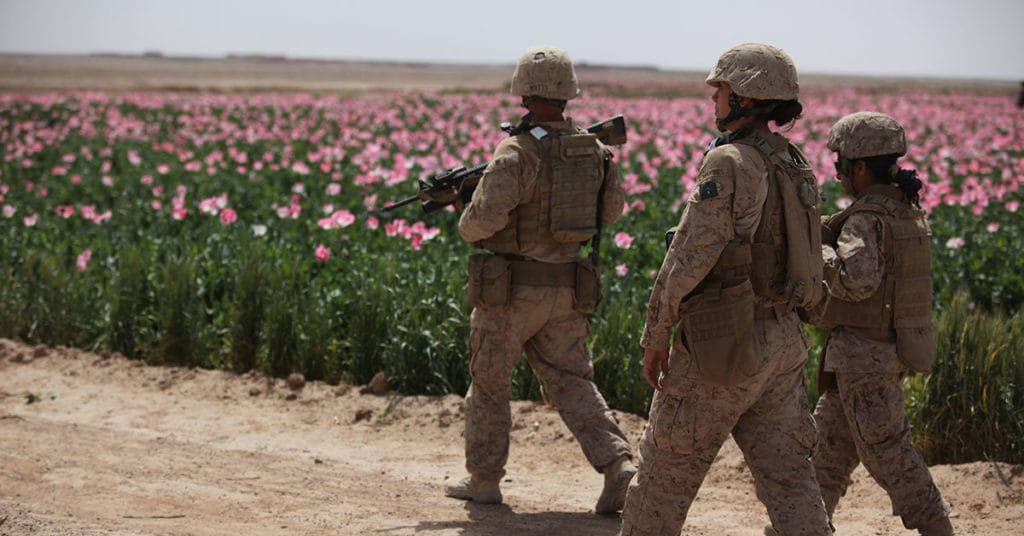 U.S. Marines assigned to the female engagement team (FET) of I Marine Expeditionary Force (Forward) conduct a patrol alongside a poppy field while visiting Afghan settlements in Boldak, Afghanistan, April 5, 2010. (DoD photo by Cpl. Lindsay L. Sayres, U.S. Marine Corps/Released)