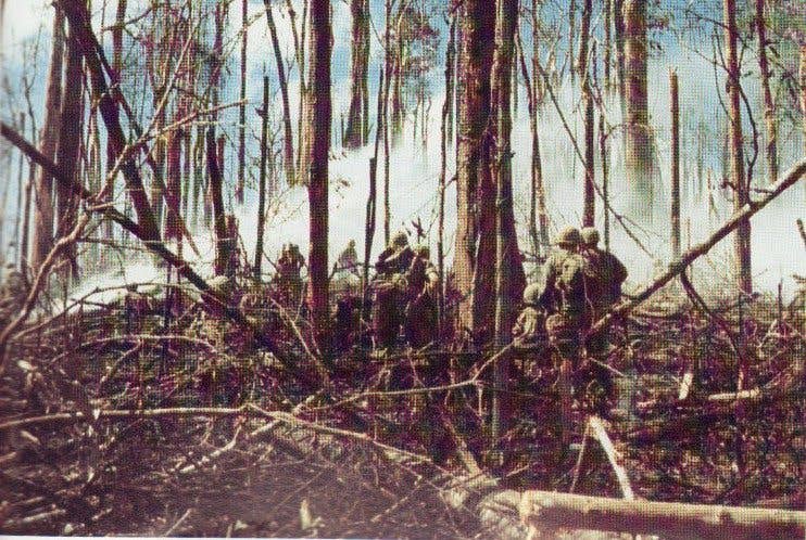 Members of the 173rd Airborne Brigade in combat on Hill 875 during the Vietnam War (Photo Wikimedia Commons)