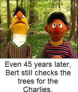 Bert doesn't want to talk about it.