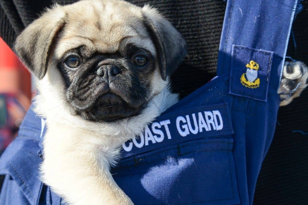 (U.S. Coast Guard photo by Petty Officer 2nd Class Cynthia Oldham. )