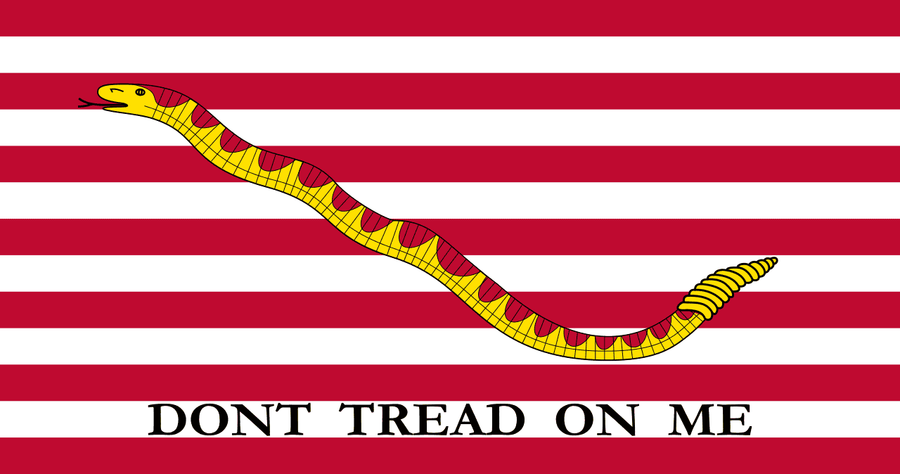 First Navy Jack of the United States (U.S. Navy image)