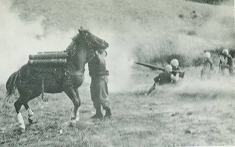 Reckless the horse served with distinction in the Korean War and was meritoriously promoted to sergeant for her actions in the Battle of Outpost Vega. (Photo: US Marine Corps)