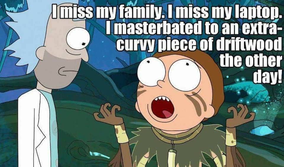 Hope you kept the driftwood, Morty.