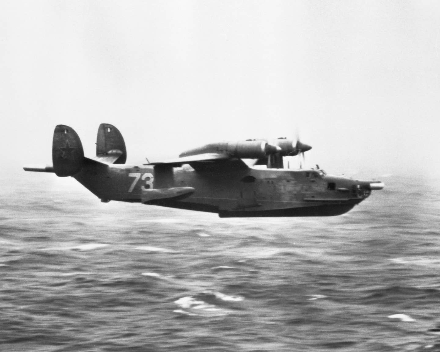 A right-side view of a Soviet Be-12 Mail patrol/anti-submarine warfare aircraft in flight. (U.S. Navy photo)