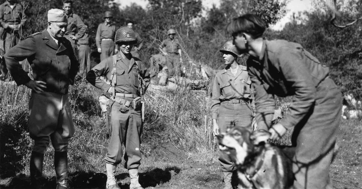 Chips, a U.S. Army dog, meets Eisenhower. (Photo from U.S. Army)