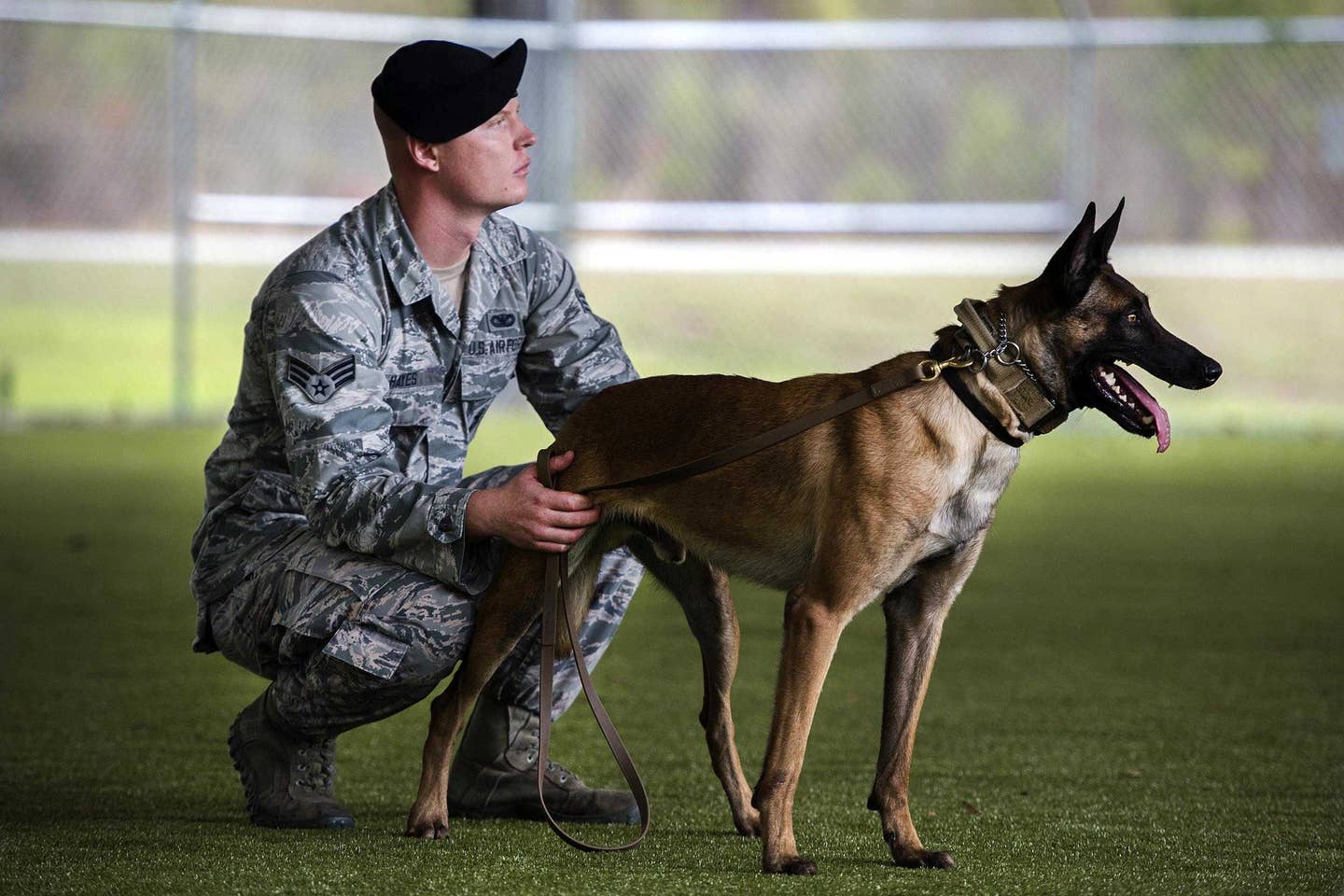 Air Force Senior Airman Anthony Hayes and Ttoby, a military working dog, take a break during a demonstration at Moody Air Force Base, Ga., Feb. 2, 2017. Hayes is a military dog handler assigned to the 23d Security Forces Squadron. Ttoby is a Belgian Malinois and specializes in personnel protection and detecting explosives, trained as a military dog at Joint Base San Antonio-Lackland, Texas. (Air Force photo by Tech. Sgt. Zachary Wolf)