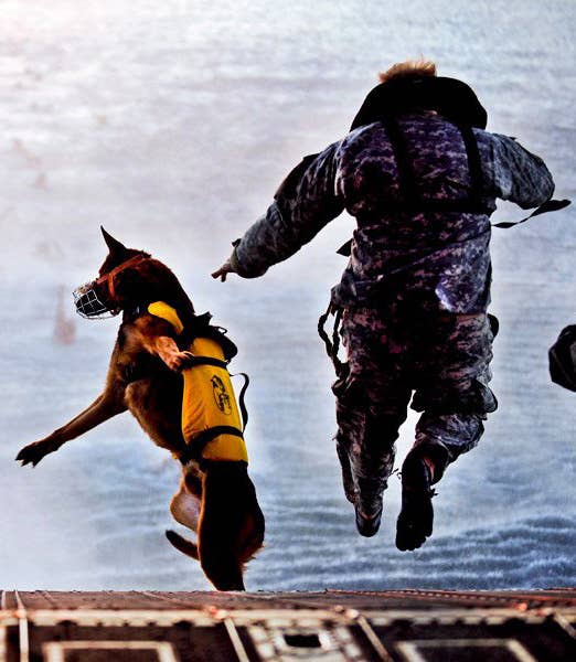 A Soldier and his military working dog jump off the ramp of a CH-47 Chinook helicopter from the 160th Special Operations Aviation Regiment during water training over the Gulf of Mexico.