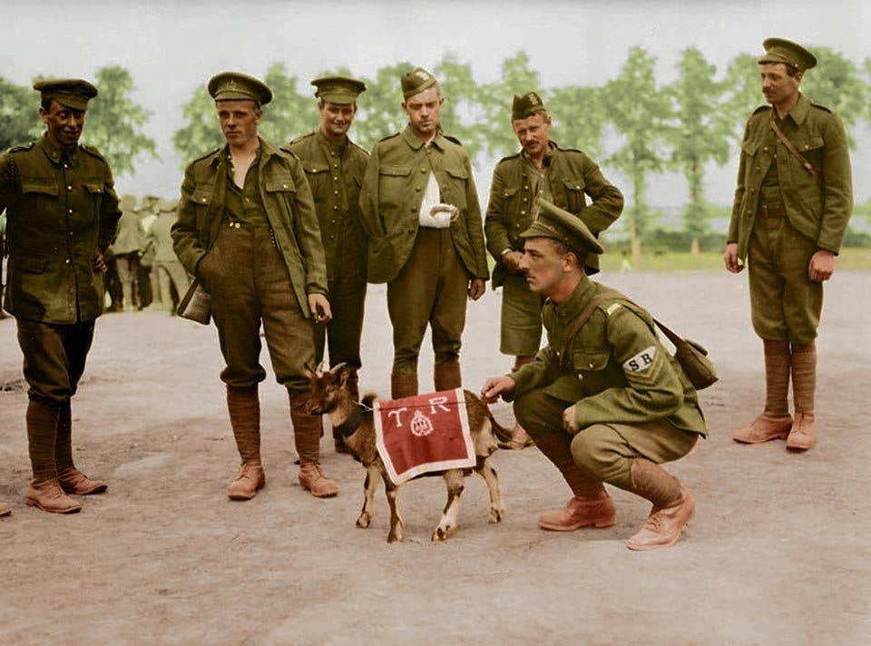 Photo colorized by Open University. Original black and white photo copyright Library and Archives Canada.