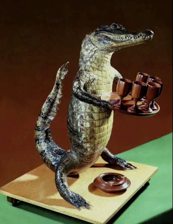 alligator gift to north korea