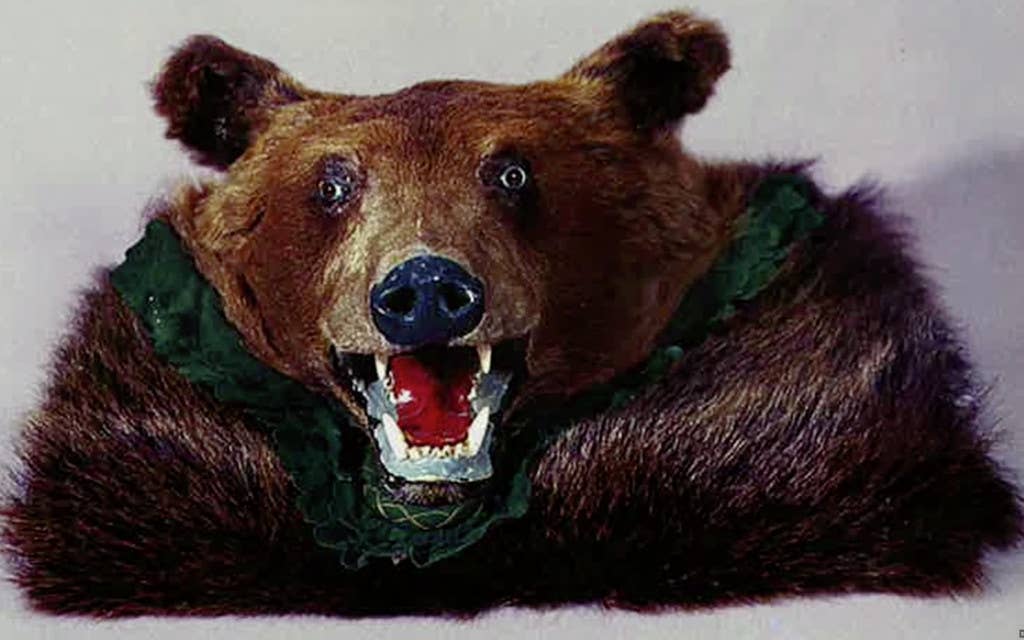 romanian bear