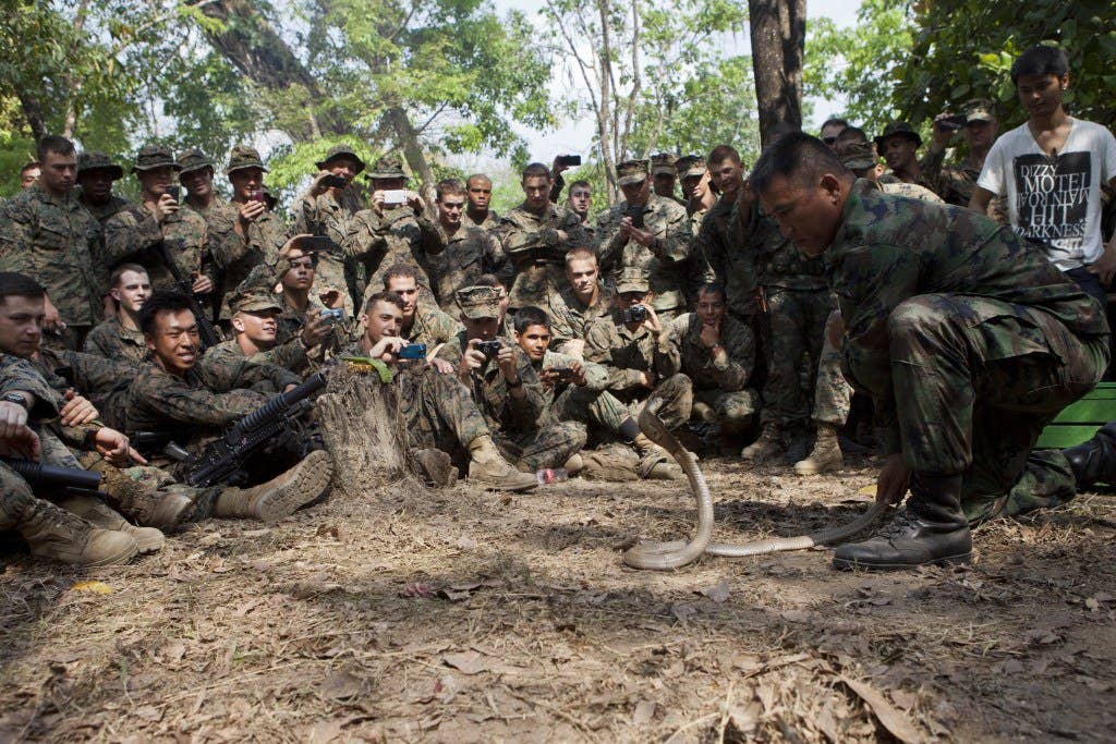Royal Thai Marine Chief Petty Officer 1st Class Pairoj Prasansai, Recon Battalion, Marine Division demonstrates how to capture a cobra for U.S. Marines with Company A, 1st Battalion, 3rd Marine Regiment during a jungle survival course in Ban Chan Krem, Chanthaburi province, Kingdom of Thailand, Feb. 17. The class was held to teach U.S. Marines basic jungle survival techniques as part of Exercise Cobra Gold 2013 (CG13). CG 13, in its 32nd iteration, is designed to advance regional security and ensure effective response to regional crises by exercising a robust multinational force from nations sharing common goals and security commitments in the Asia-Pacific region. (U.S. Marine Corps photo by Sgt. Matthew Troyer/Released)