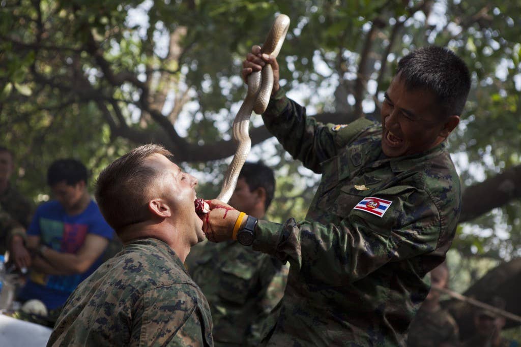 Royal Thai Marine Chief Petty Officer 1st Class Pairoj Prasansai, right, Recon Battalion, Marine Division feeds cobra blood, which can be a useful source of energy, to U.S. Marine Corps Sgt. Jerry Clark, squad leader, 1st Squad, 1st Platoon, Company A, 1st Battalion, 3rd Marine Regiment during a jungle survival course in Ban Chan Krem, Chanthaburi province, Kingdom of Thailand, Feb. 17. The class was held to teach U.S. Marines basic jungle survival techniques as part of Exercise Cobra Gold 2013 (CG13). CG 13, in its 32nd iteration, is designed to advance regional security and ensure effective response to regional crises by exercising a robust multinational force from nations sharing common goals and security commitments in the Asia-Pacific region. (U.S. Marine Corps photo by Sgt. Matthew Troyer/Released)