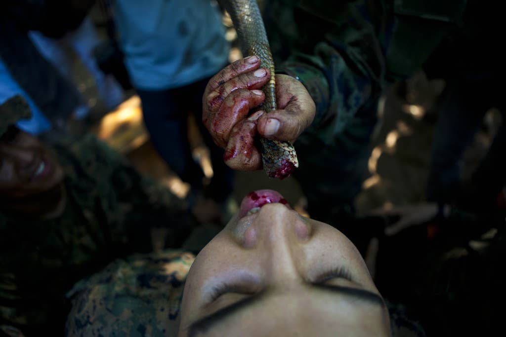 A Marine with the 31st Marine Expeditionary Unit drinks the blood of a king cobra during a jungle survival class taught by Royal Thai Marines as a part of Cobra Gold 2013 here, Feb. 20. Drinking of the cobra blood is a survival technique used to maintain hydration and replenish nutrients while in the hot jungle. Cobra Gold demonstrates the resolve of the U.S. and participating nations to increase interoperability, and promote security and peace throughout the Asia-Pacific region. The 31st MEU is the only continuously forward-deployed MEU and is the Marine Corps' force in readiness in the Asia-Pacific region.