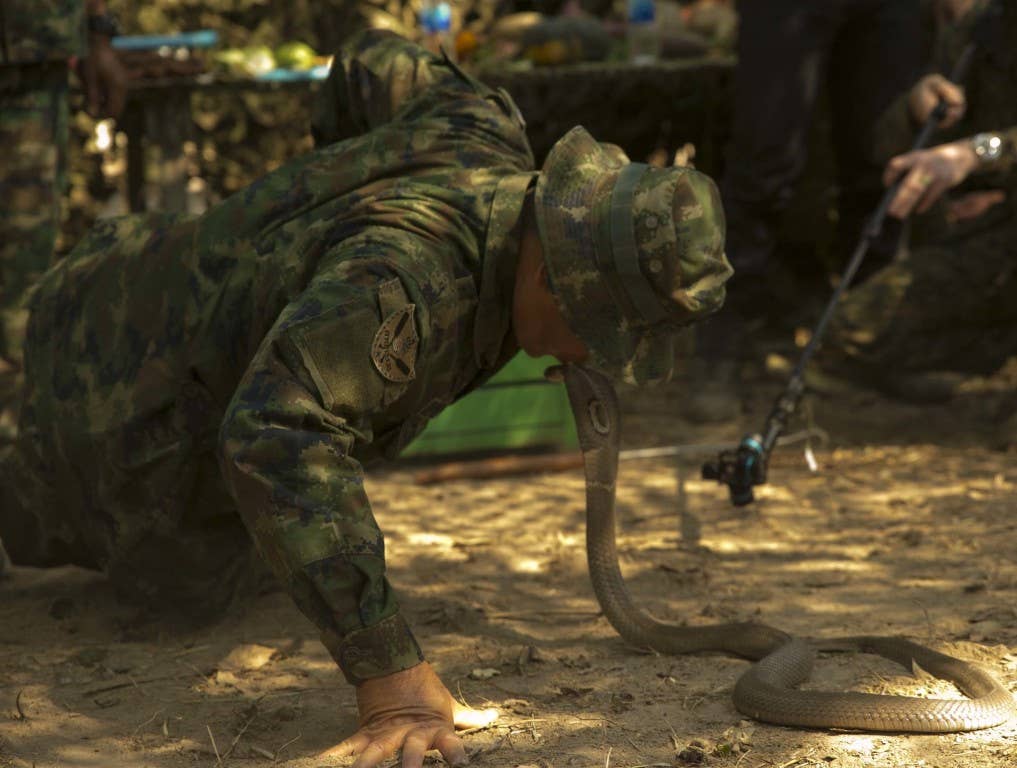 A Royal Thai Marine kisses a cobra's head Feb. 8 at Ban Chan Krem, Thailand, during exercise Cobra Gold 2015. The Thai Marines demonstrated several survival techniques including how to capture a cobra and drink its blood. Drinking the snake's blood is used as a last resort in case there is nothing else to drink. Other survival methods such as starting fires and how to eat spiders and scorpions were also taught. (U.S. Marine Corps photo by Cpl. Isaac Ibarra/Released)