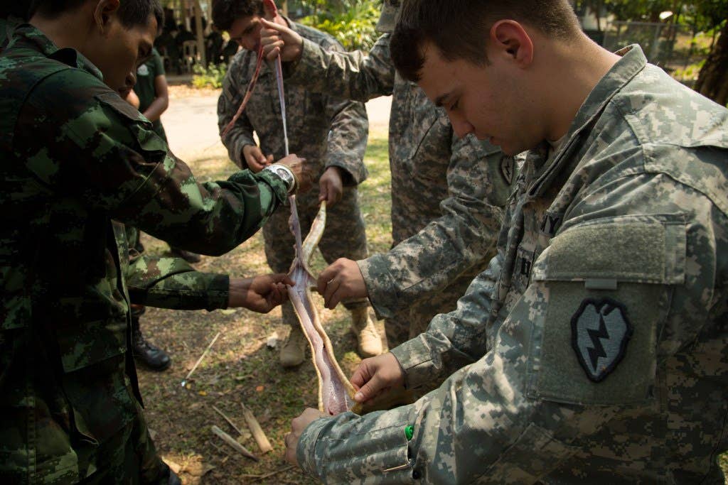 Royal Thai Army Soldiers assigned to the 31st Infantry Regiment, Rapid Deployment Force, Kings Guard, demonstrate how to properly handle and neutralize a King Cobra snake to U.S. Army soldiers assigned to the 25th Infantry Division during a jungle training exercise on Camp 31-3, Lopburi, Thailand, Feb. 10, 2015. The training was conducted as a part of the joint training exercise Cobra Gold 2015. (U.S. Army photo by Spc. Steven Hitchcock/Released)