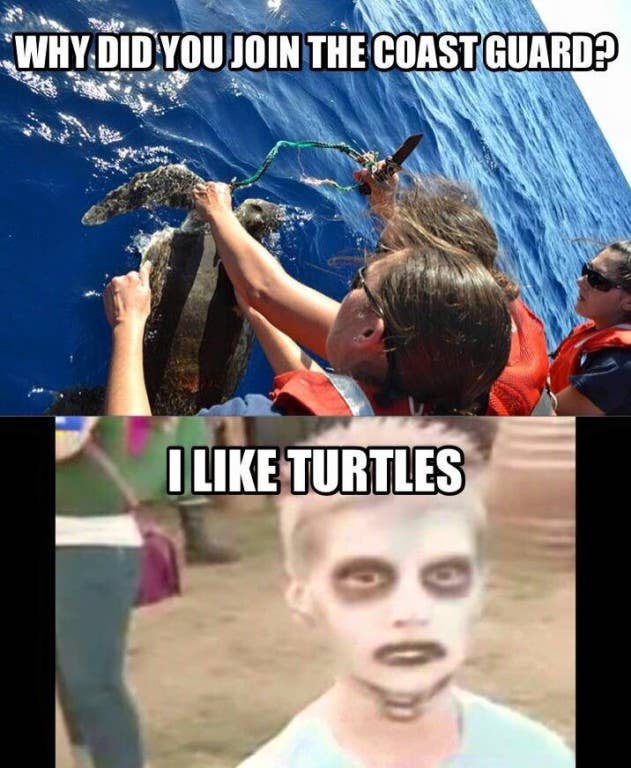 I like turtles too, buddy.