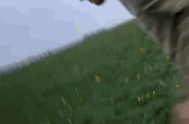(GIF: Battle scene from the movie 'Help!')