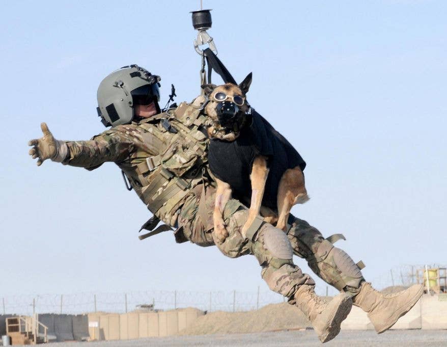 A flight medic is hoisted into a medical helicopter with Luca, a Military Working Dog, during a training exercise in Afghanistan. (U.S. Army photo by Sgt. Michael Needham)