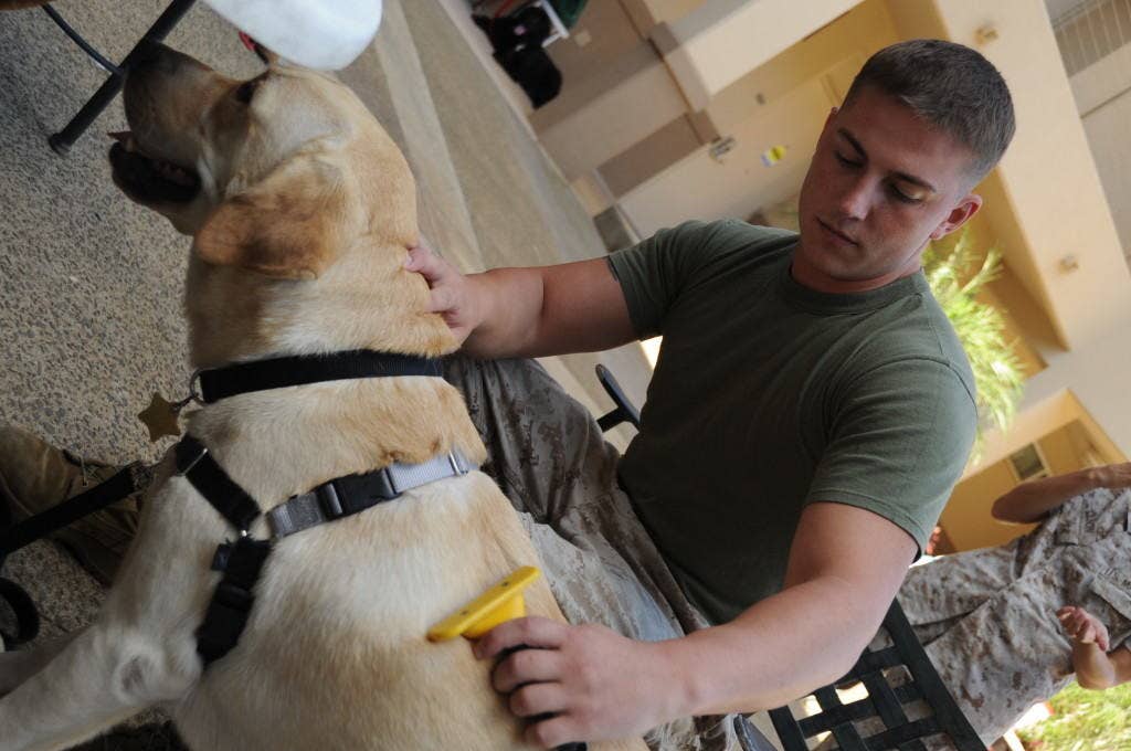 A Marine assigned to the Wounded Warrior Battalion West at Marine Corps Base Hawaii, Kaneohe Bay, Hawaii, learns to groom Ona, a dog from the Hawaii Fi Do, Sept. 23. Hawaii Fi Do trains dogs as either service dogs or therapy dogs and they visit wounded service members, which in turn helps relax the service members as they recover from mental or physical wounds. The dogs and U.S. Marines get together every Friday for training and enrichment. The Marines learn to train the dogs and the dogs help relax the Marines and put them in good spirits.