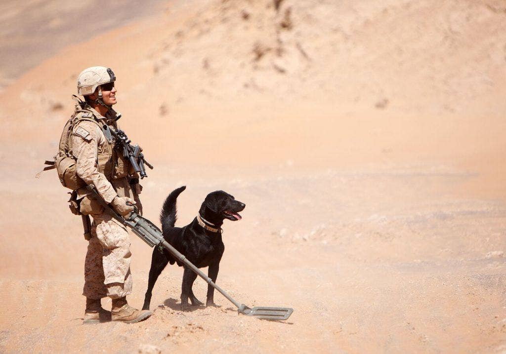Cpl. Sean Grady, a dog handler and pointman with Echo Company, 1st Light Armored Reconnaissance Battalion, and Ace, an improvised explosive device detection dog, pause for a break while sweeping a chokepoint during a patrol in Khan Neshin District, Helmand province, Afghanistan, April 27, 2012. (U.S. Marine Corps photo by Cpl. Alfred V. Lopez)