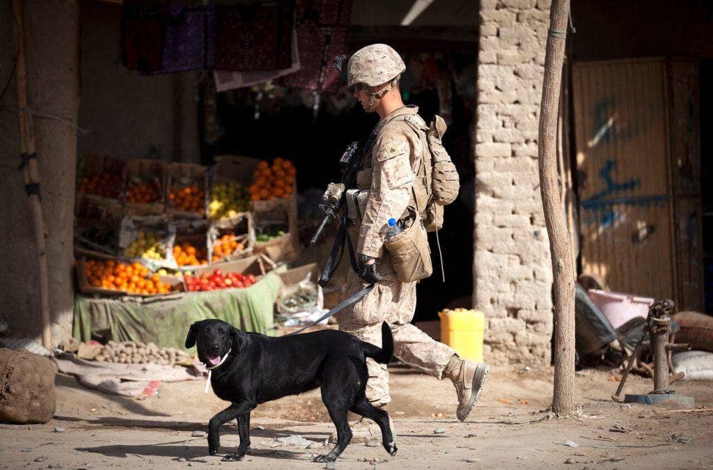 1. Cpl. Kyle Click, a dog handler with 3rd Platoon, Kilo Company, 3rd Battalion, 3rd Marine Regiment, and 22-year-old native of Grand Rapids, Mich., walks past a produce vendor with Windy, an improvised explosive device detection dog, during a security patrol here, Feb. 27, 2012. (U.S. Marine Corps photo by Cpl. Reece Lodder)