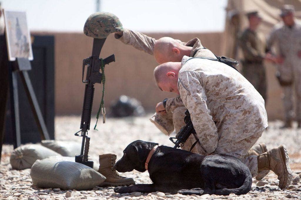 1. Yeager, an improvised explosive device detection dog, lies in front of a battlefield cross as Staff Sgt. Derick Clark and Chief Warrant Officer 2 Michael Dale Reeves observe a moment of silence in honor of Lance Cpl. Abraham Tarwoe, a dog handler and mortarman who served with Weapons Company, 2nd Battalion, 9th Marine Regiment, during a memorial service in Marjah District, Helmand province, Afghanistan, April 22, 2012. (U.S. Marine Corps photo by Cpl. Alfred V. Lopez)