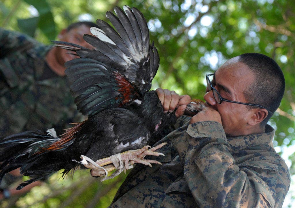 A soldier biting off the head of a chicken, one of many crazy military drills 