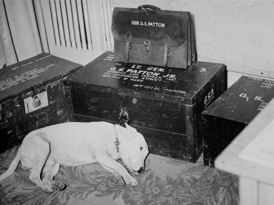 Patton's dog Willie mourns after the general's 1945 death. (U.S. Army photo)