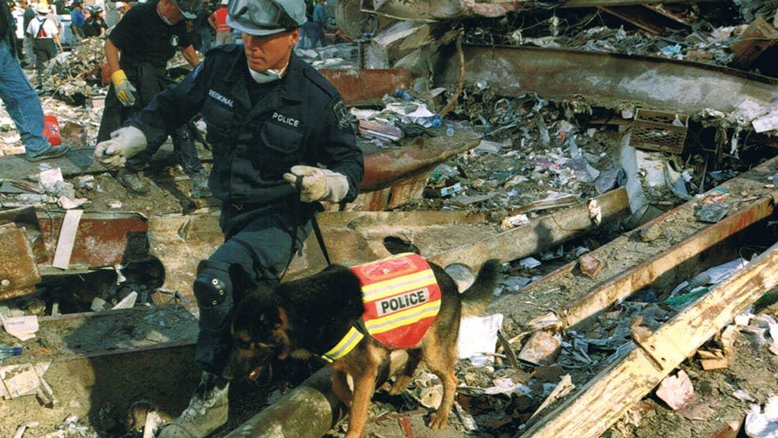 This &#8216;cloneworthy&#8217; police dog found the last survivor of the 9/11 attacks