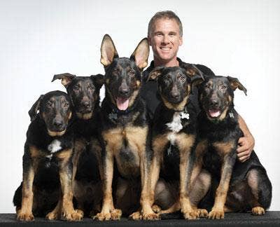 Five German shepherds, shown with owner James Symington. Symington is training the dogs to help in search and rescue efforts throughout the world. (Photo courtesy of Team Trakr)