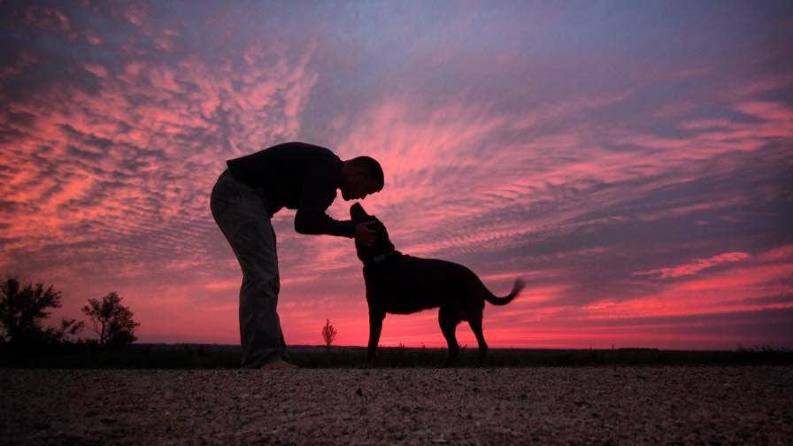 This Marine vet took his sick dog on a life-changing road trip