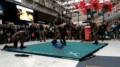 Pics or it didn't happen. (GIF: YouTube/Ministry of Defence)